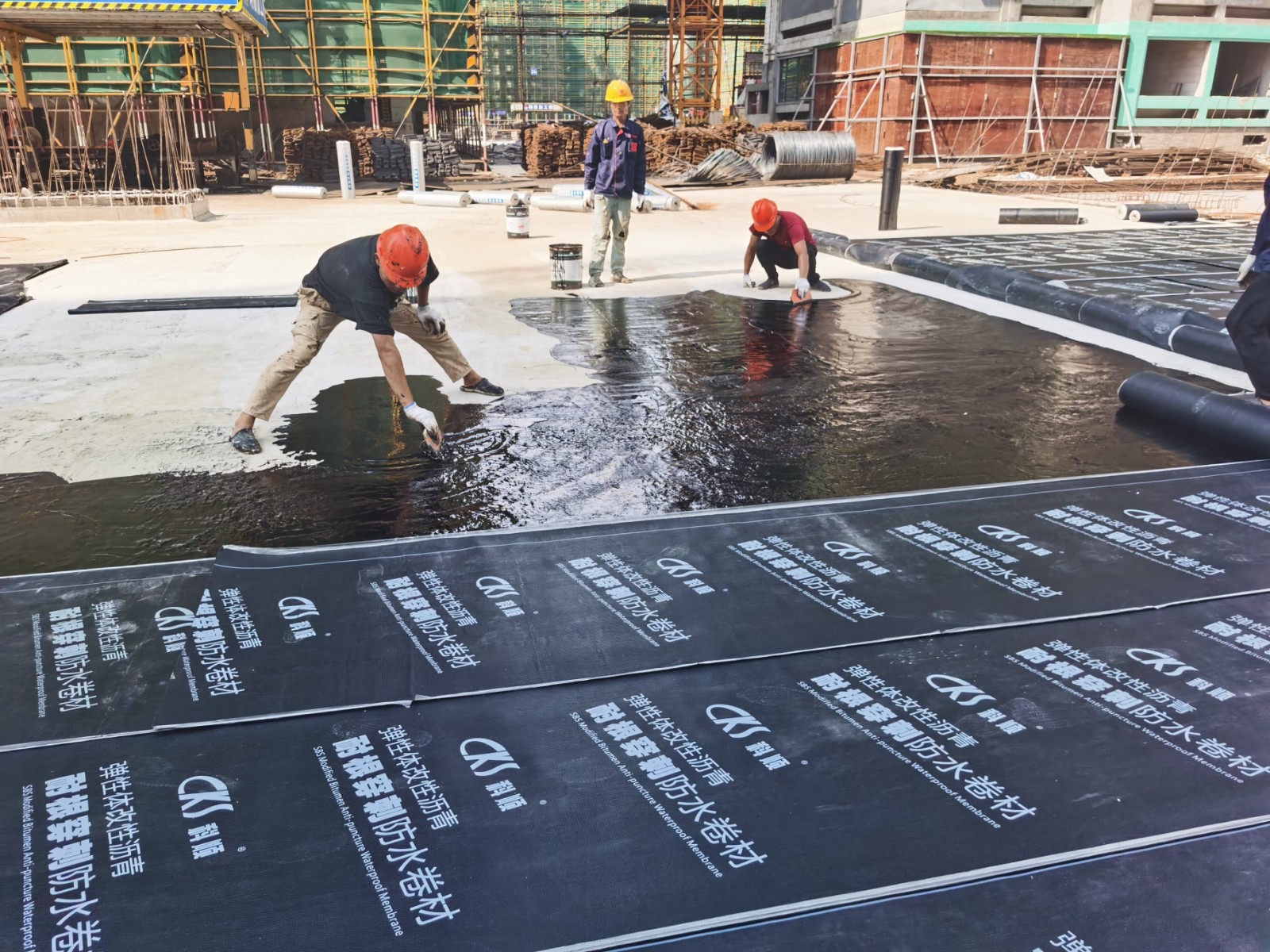 1639703172968803.jpg 103cd40815a6262af071a48cdcd0e76.jpg